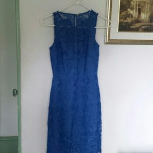 Royal blue lace dress.